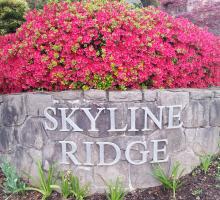 flower bed planted above a stone wall with name Skyline Ridge in metal lettering