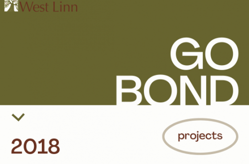 go bond 2018 projects