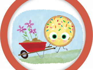 Summer Reading Program
