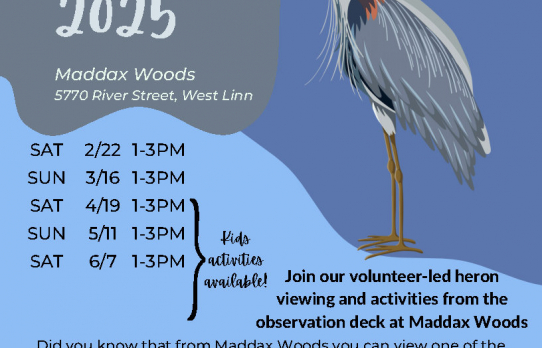 Heron Watch 2025