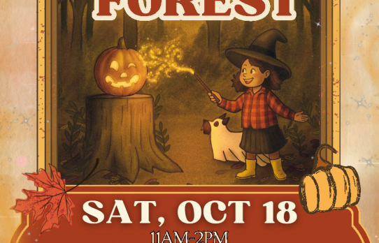 Fall Fest 2025555