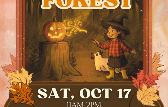 Fall Fest in the Forest 2026