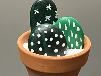 rocks painted to look like cactus in a pot